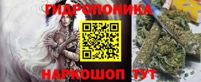 PSILOCYBIN Краснознаменск
